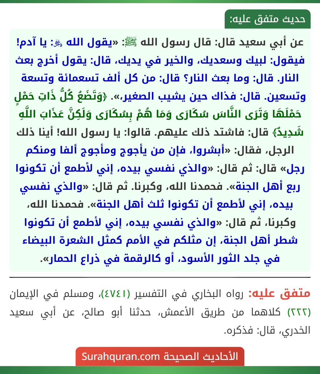 عن أبي سعيد قال: قال رسول الله ﷺ: «يقول الله ﷿: يا آدم! فيقول: لبيك وسعديك، والخير في يديك، قال: يقول أخرج بعث النار. قال: وما بعث النار؟ قال: من كل ألف تسعمائة وتسعة وتسعين. قال: فذاك حين يشيب الصغير،». ﴿وَتَضَعُ كُلُّ ذَاتِ حَمْلٍ حَمْلَهَا وَتَرَى النَّاسَ سُكَارَى وَمَا هُمْ بِسُكَارَى وَلَكِنَّ عَذَابَ اللَّهِ شَدِيدٌ﴾ قال: فاشتد ذلك عليهم. قالوا: يا رسول الله! أينا ذلك الرجل، فقال: «أبشروا، فإن من يأجوج ومأجوج ألفا ومنكم رجل» قال: ثم قال: «والذي نفسي بيده، إني لأطمع أن تكونوا ربع أهل الجنة». فحمدنا الله، وكبرنا. ثم قال: «والذي نفسي بيده، إني لأطمع أن تكونوا ثلث أهل الجنة». فحمدنا الله، وكبرنا، ثم قال: «والذي نفسي بيده، إني لأطمع أن تكونوا شطر أهل الجنة، إن مثلكم في الأمم كمثل الشعرة البيضاء في جلد الثور الأسود، أو كالرقمة في ذراع الحمار».
