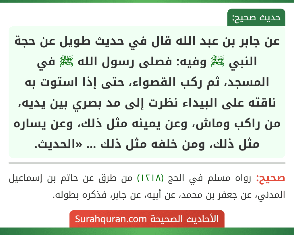 عن جابر بن عبد الله قال في حديث طويل عن حجة النبي ﷺ وفيه: فصلى رسول الله ﷺ في المسجد، ثم ركب القصواء، حتى إذا استوت به ناقته على البيداء نظرت إلى مد بصري بين يديه، من راكب وماش، وعن يمينه مثل ذلك، وعن يساره مثل ذلك، ومن خلفه مثل ذلك ... «الحديث. عن جابر بن عبد الله قال في حديث طويل عن حجة النبي ﷺ وفيه: فصلى رسول الله ﷺ في المسجد، ثم ركب القصواء، حتى إذا استوت به ناقته على البيداء نظرت إلى مد بصري بين يديه، من راكب وماش، وعن يمينه مثل ذلك، وعن يساره مثل ذلك، ومن خلفه مثل ذلك ... «الحديث.