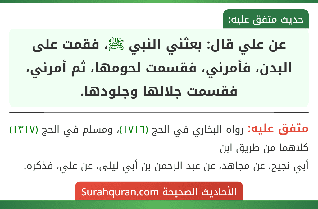 عن علي قال: بعثني النبي ﷺ، فقمت على البدن، فأمرني، فقسمت لحومها، ثم أمرني، فقسمت جلالها وجلودها.