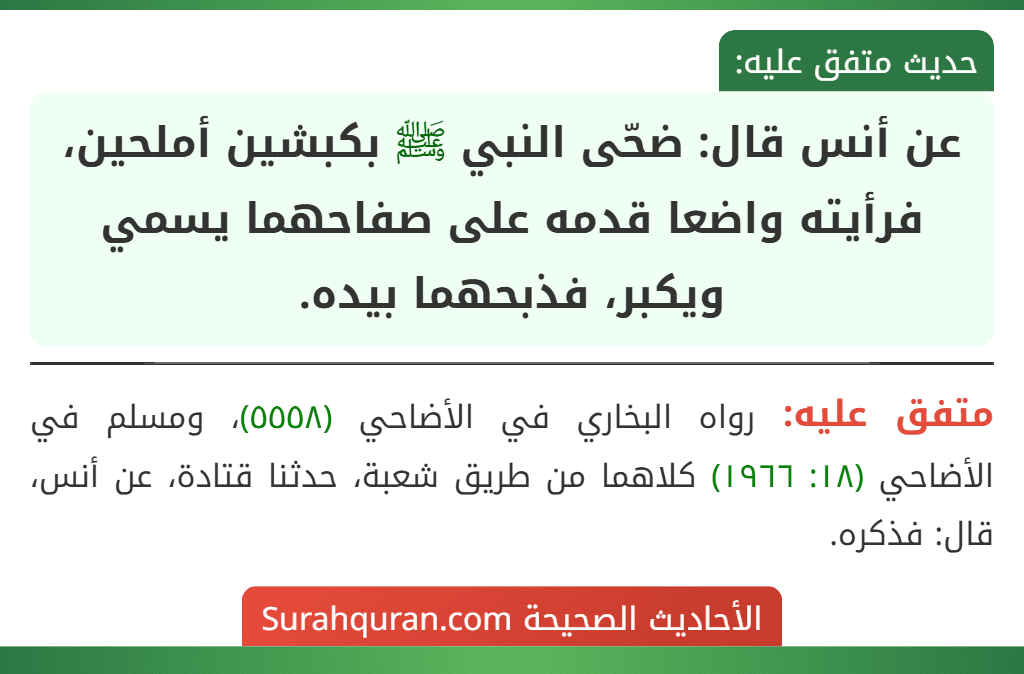 عن أنس قال: ضحّى النبي ﷺ بكبشين أملحين، فرأيته واضعا قدمه على صفاحهما يسمي ويكبر، فذبحهما بيده. عن أنس قال: ضحّى النبي ﷺ بكبشين أملحين، فرأيته واضعا قدمه على صفاحهما يسمي ويكبر، فذبحهما بيده.