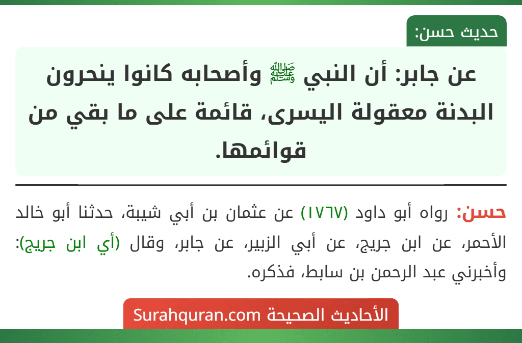 عن جابر: أن النبي ﷺ وأصحابه كانوا ينحرون البدنة معقولة اليسرى، قائمة على ما بقي من قوائمها.