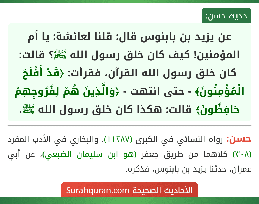 عن يزيد بن بابنوس قال: قلنا لعائشة: يا أم المؤمنين! كيف كان خلق رسول الله ﷺ؟ قالت: كان خلق رسول الله القرآن، فقرأت: ﴿قَدْ أَفْلَحَ الْمُؤْمِنُونَ﴾ - حتى انتهت - ﴿وَالَّذِينَ هُمْ لِفُرُوجِهِمْ حَافِظُونَ﴾ قالت: هكذا كان خلق رسول الله ﷺ.