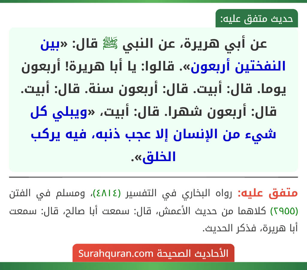عن أبي هريرة، عن النبي ﷺ قال: «بين النفختين أربعون». قالوا: يا أبا هريرة! أربعون يوما. قال: أبيت. قال: أربعون سنة. قال: أبيت. قال: أربعون شهرا. قال: أبيت، «ويبلي كل شيء من الإنسان إلا عجب ذنبه، فيه يركب الخلق».