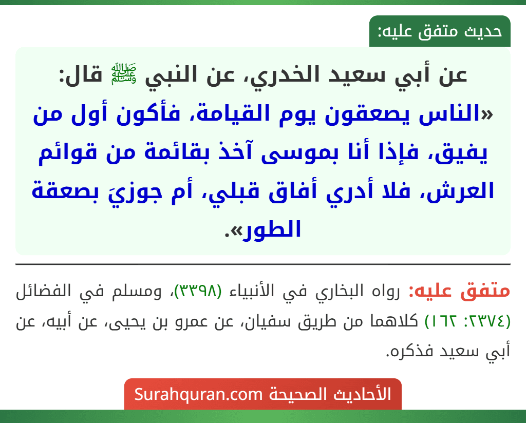 عن أبي سعيد الخدري، عن النبي ﷺ قال: «الناس يصعقون يوم القيامة، فأكون أول من يفيق، فإذا أنا بموسى آخذ بقائمة من قوائم العرش، فلا أدري أفاق قبلي، أم جوزيَ بصعقة الطور».