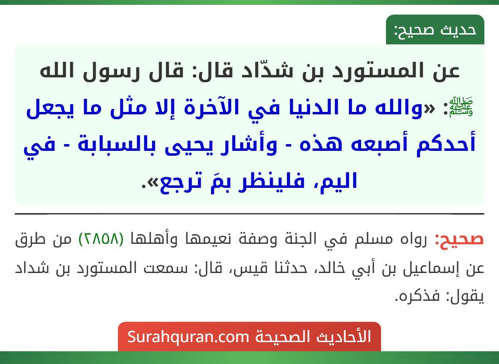 عن المستورد بن شدّاد قال: قال رسول الله ﷺ: «والله ما الدنيا في الآخرة إلا مثل ما يجعل أحدكم أصبعه هذه - وأشار يحيى بالسبابة - في اليم، فلينظر بمَ ترجع».