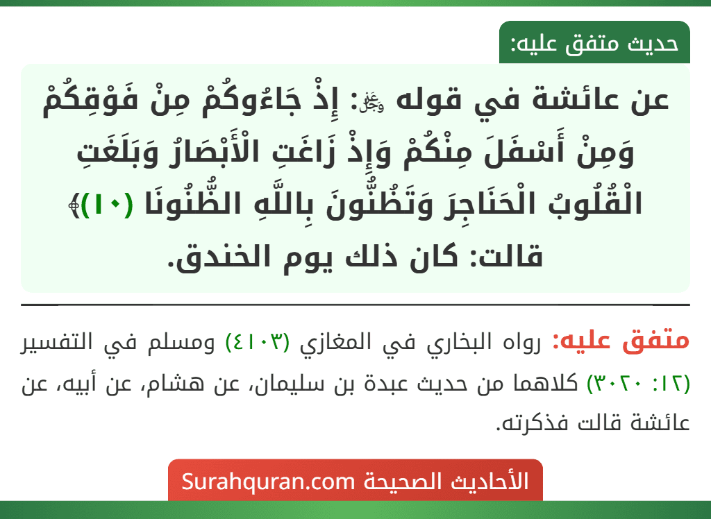 عن عائشة في قوله ﷿: إِذْ جَاءُوكُمْ مِنْ فَوْقِكُمْ وَمِنْ أَسْفَلَ مِنْكُمْ وَإِذْ زَاغَتِ الْأَبْصَارُ وَبَلَغَتِ الْقُلُوبُ الْحَنَاجِرَ وَتَظُنُّونَ بِاللَّهِ الظُّنُونَا (١٠)﴾ قالت: كان ذلك يوم الخندق.