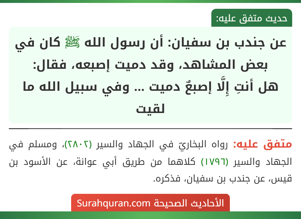 عن جندب بن سفيان: أن رسول الله ﷺ كان في بعض المشاهد، وقد دميت إصبعه، فقال:
هل أنتِ إِلَّا إصبعٌ دميت ... وفي سبيل الله ما لقيت عن جندب بن سفيان: أن رسول الله ﷺ كان في بعض المشاهد، وقد دميت إصبعه، فقال:
هل أنتِ إِلَّا إصبعٌ دميت ... وفي سبيل الله ما لقيت