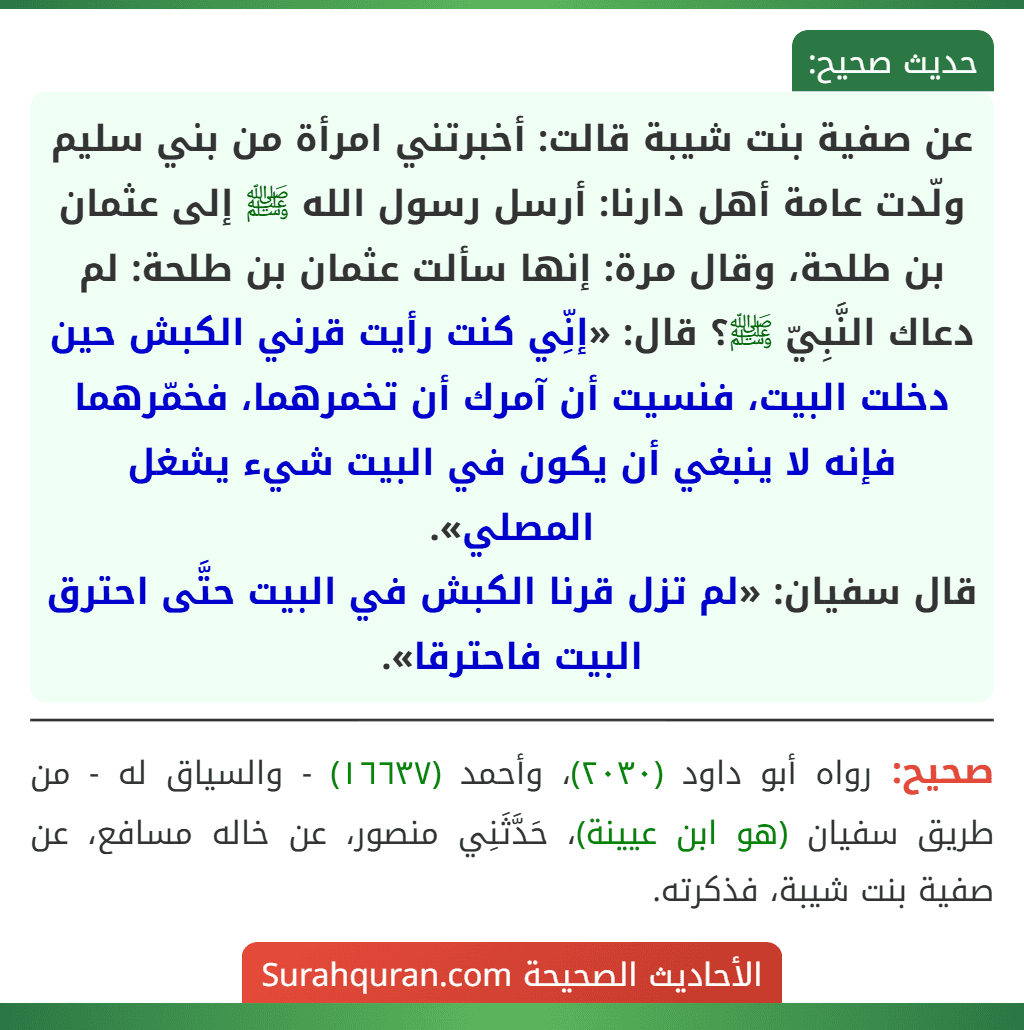 عن صفية بنت شيبة قالت: أخبرتني امرأة من بني سليم ولّدت عامة أهل دارنا: أرسل رسول الله ﷺ إلى عثمان بن طلحة، وقال مرة: إنها سألت عثمان بن طلحة: لم
دعاك النَّبِيّ ﷺ؟ قال: «إنِّي كنت رأيت قرني الكبش حين دخلت البيت، فنسيت أن آمرك أن تخمرهما، فخمّرهما فإنه لا ينبغي أن يكون في البيت شيء يشغل المصلي».
قال سفيان: «لم تزل قرنا الكبش في البيت حتَّى احترق البيت فاحترقا».