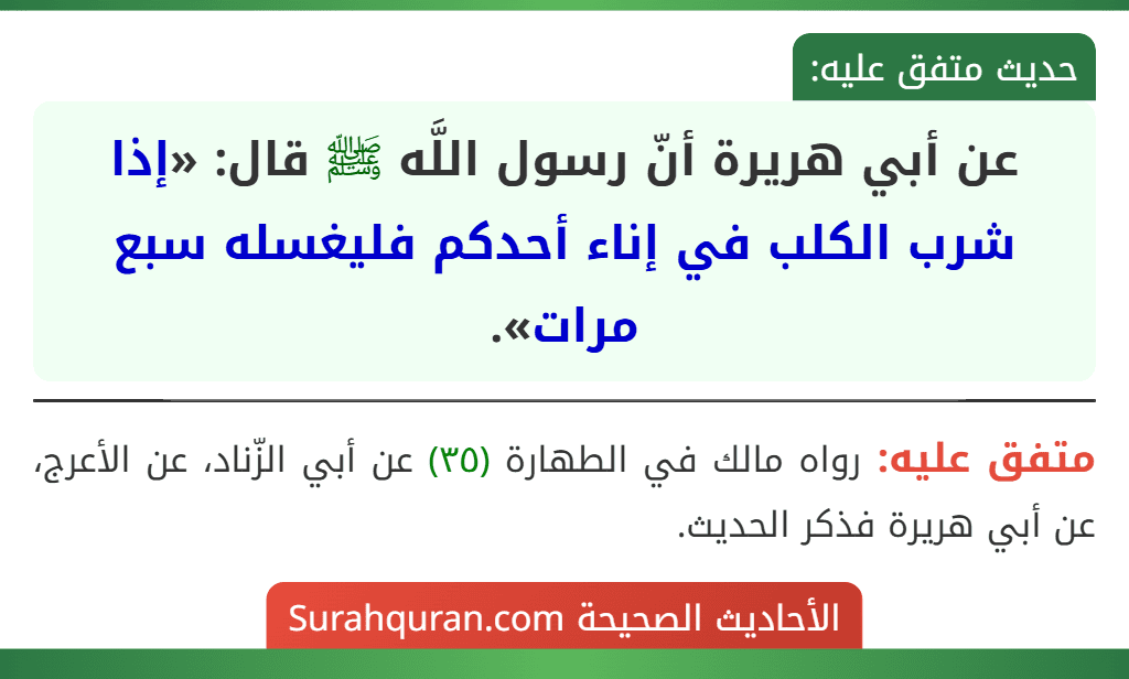 عن أبي هريرة أنّ رسول اللَّه ﷺ قال: «إذا شرب الكلب في إناء أحدكم فليغسله سبع مرات». عن أبي هريرة أنّ رسول اللَّه ﷺ قال: «إذا شرب الكلب في إناء أحدكم فليغسله سبع مرات».