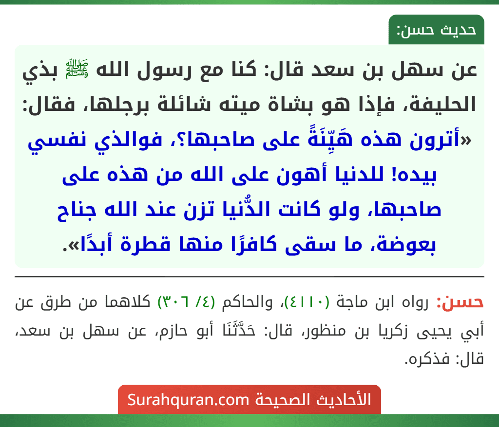 عن سهل بن سعد قال: كنا مع رسول الله ﷺ بذي الحليفة، فإذا هو بشاة ميته شائلة برجلها، فقال: «أترون هذه هَيِّنَةً على صاحبها؟، فوالذي نفسي بيده! للدنيا أهون على الله من هذه على صاحبها، ولو كانت الدُّنيا تزن عند الله جناح بعوضة، ما سقى كافرًا منها قطرة أبدًا». عن سهل بن سعد قال: كنا مع رسول الله ﷺ بذي الحليفة، فإذا هو بشاة ميته شائلة برجلها، فقال: «أترون هذه هَيِّنَةً على صاحبها؟، فوالذي نفسي بيده! للدنيا أهون على الله من هذه على صاحبها، ولو كانت الدُّنيا تزن عند الله جناح بعوضة، ما سقى كافرًا منها قطرة أبدًا».