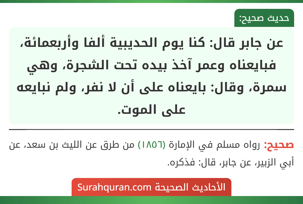 عن جابر قال: كنا يوم الحديبية ألفا وأربعمائة، فبايعناه وعمر آخذ بيده تحت الشجرة، وهي سمرة، وقال: بايعناه على أن لا نفر، ولم نبايعه على الموت. عن جابر قال: كنا يوم الحديبية ألفا وأربعمائة، فبايعناه وعمر آخذ بيده تحت الشجرة، وهي سمرة، وقال: بايعناه على أن لا نفر، ولم نبايعه على الموت.