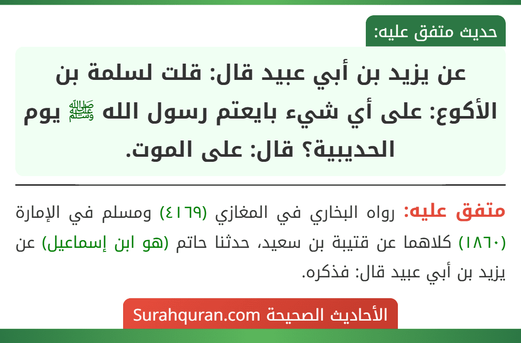 عن يزيد بن أبي عبيد قال: قلت لسلمة بن الأكوع: على أي شيء بايعتم رسول الله ﷺ يوم الحديبية؟ قال: على الموت.