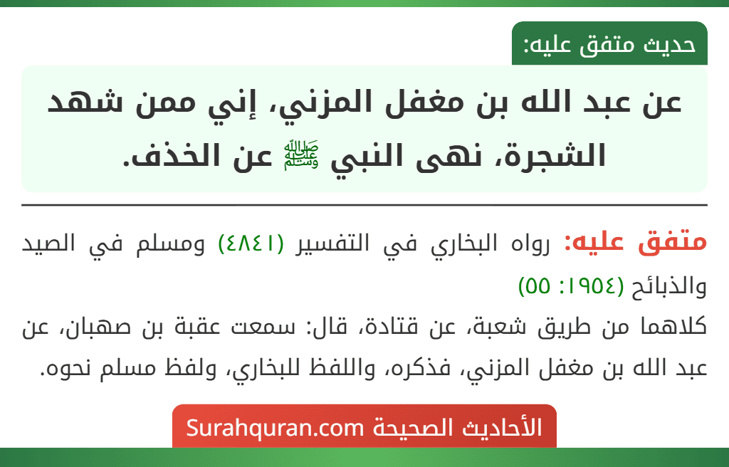 عن عبد الله بن مغفل المزني، إني ممن شهد الشجرة، نهى النبي ﷺ عن الخذف. عن عبد الله بن مغفل المزني، إني ممن شهد الشجرة، نهى النبي ﷺ عن الخذف.
