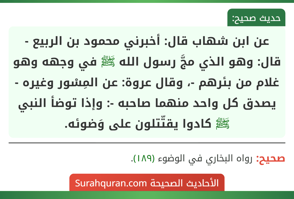 عن ابن شهاب قال: أخبرني محمود بن الربيع - قال: وهو الذي مجَّ رسول الله ﷺ في وجهه وهو غلام من بئرهم -، وقال عروة: عن المِسْور وغيره - يصدق كل واحد منهما صاحبه -: وإذا توضأ النبي ﷺ كادوا يقتّتلون على وَضوئه.