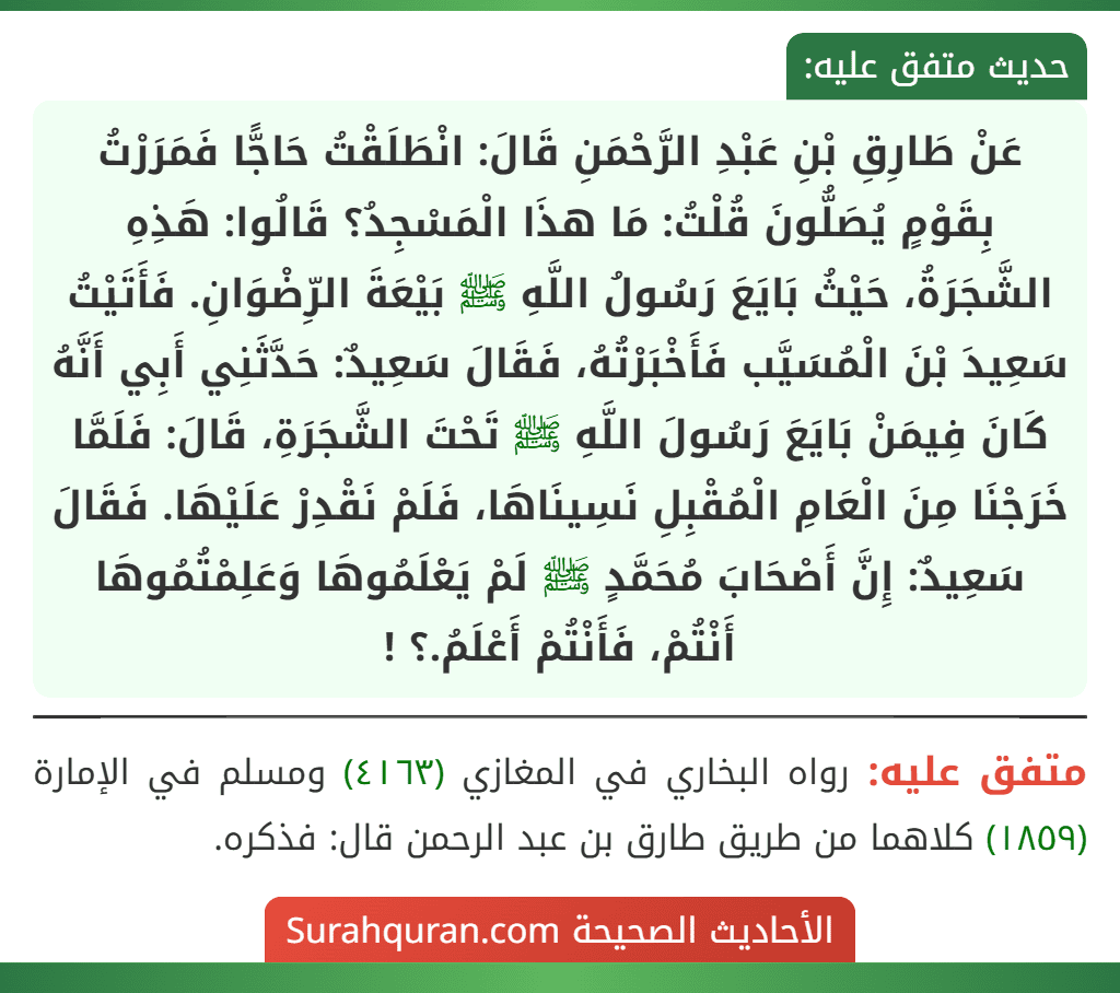 عَنْ طَارِقِ بْنِ عَبْدِ الرَّحْمَنِ قَالَ: انْطَلَقْتُ حَاجًّا فَمَرَرْتُ بِقَوْمٍ يُصَلُّونَ قُلْتُ: مَا هذَا الْمَسْجِدُ؟ قَالُوا: هَذِهِ الشَّجَرَةُ، حَيْثُ بَايَعَ رَسُولُ اللَّهِ ﷺ بَيْعَةَ الرِّضْوَانِ. فَأَتَيْتُ سَعِيدَ بْنَ الْمُسَيَّب فَأَخْبَرْتُهُ، فَقَالَ سَعِيدٌ: حَدَّثَنِي أَبِي أَنَّهُ كَانَ فِيمَنْ بَايَعَ رَسُولَ اللَّهِ ﷺ تَحْتَ الشَّجَرَةِ، قَالَ: فَلَمَّا خَرَجْنَا مِنَ الْعَامِ الْمُقْبِلِ نَسِينَاهَا، فَلَمْ نَقْدِرْ عَلَيْهَا. فَقَالَ سَعِيدٌ: إِنَّ أَصْحَابَ مُحَمَّدٍ ﷺ لَمْ يَعْلَمُوهَا وَعَلِمْتُمُوهَا أَنْتُمْ، فَأَنْتُمْ أَعْلَمُ.؟ !
