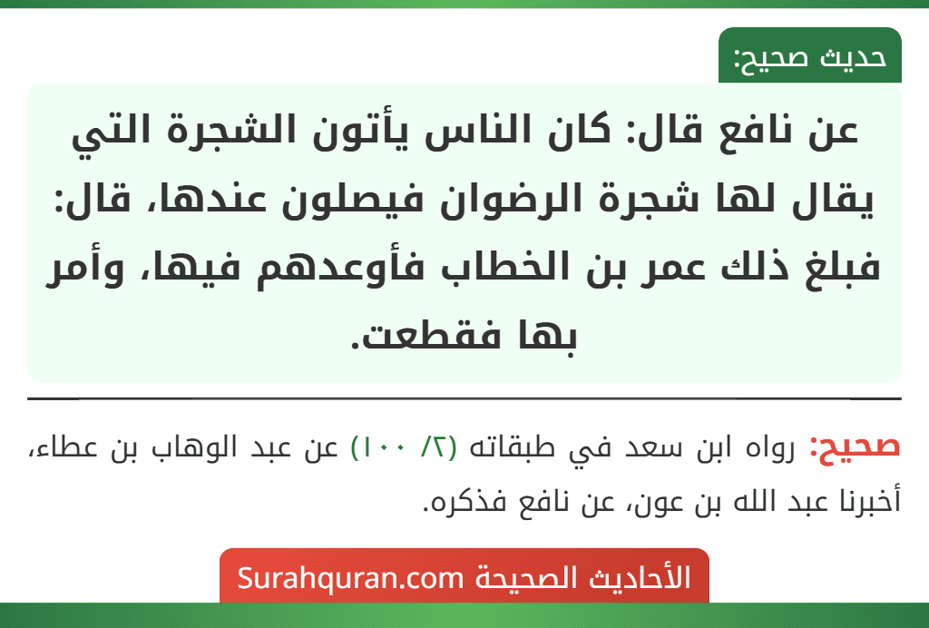 عن نافع قال: كان الناس يأتون الشجرة التي يقال لها شجرة الرضوان فيصلون عندها، قال: فبلغ ذلك عمر بن الخطاب فأوعدهم فيها، وأمر بها فقطعت.