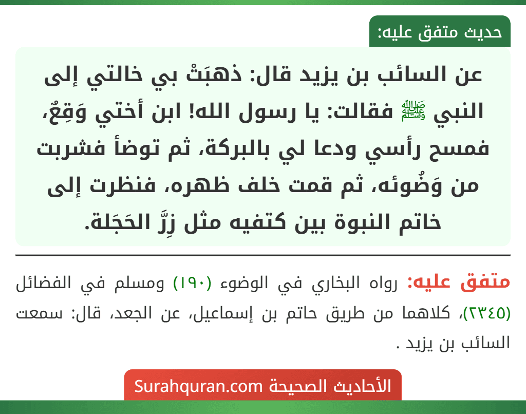 عن السائب بن يزيد قال: ذهبَتْ بي خالتي إلى النبي ﷺ فقالت: يا رسول الله! ابن أختي وَقِعٌ، فمسح رأسي ودعا لي بالبركة، ثم توضأ فشربت من وَضُوئه، ثم قمت خلف ظهره، فنظرت إلى خاتم النبوة بين كتفيه مثل زِرَّ الحَجَلة.