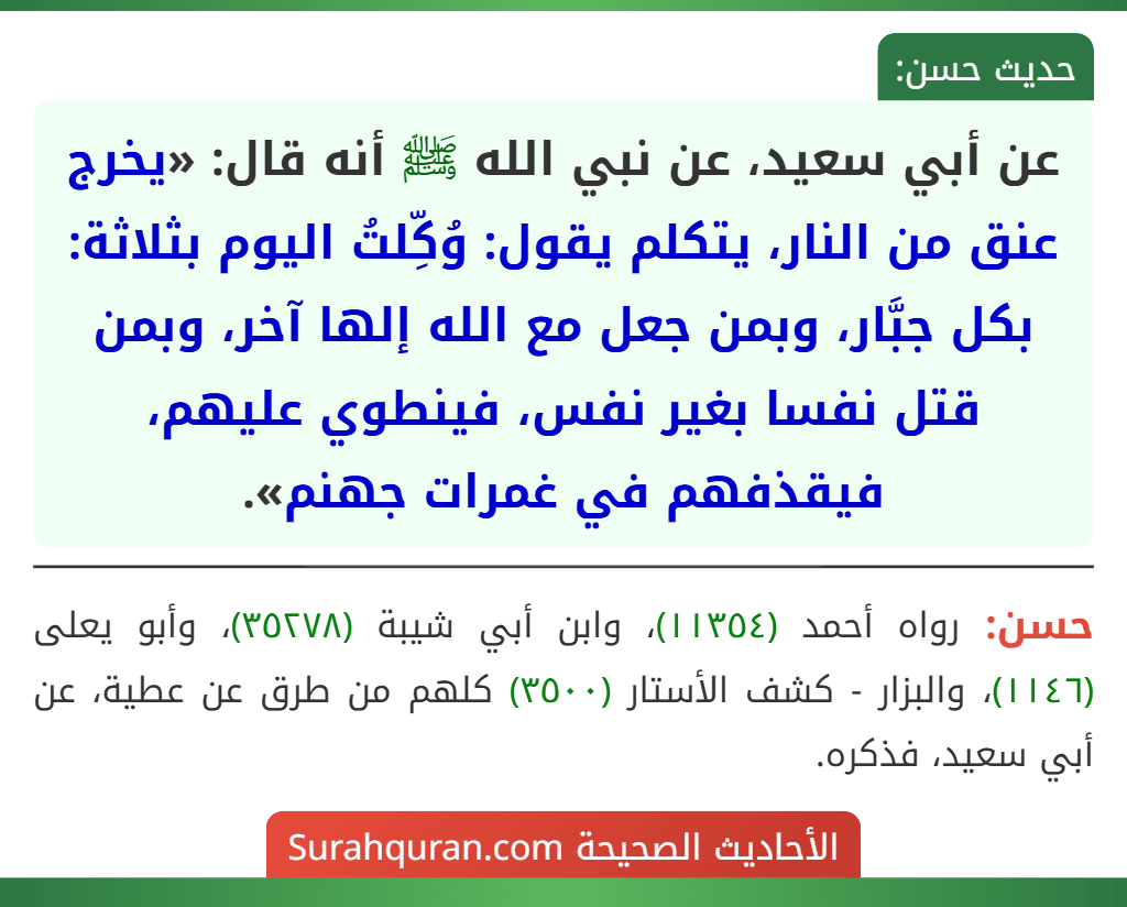 عن أبي سعيد، عن نبي الله ﷺ أنه قال: «يخرج عنق من النار، يتكلم يقول: وُكِّلتُ اليوم بثلاثة: بكل جبَّار، وبمن جعل مع الله إلها آخر، وبمن قتل نفسا بغير نفس، فينطوي عليهم، فيقذفهم في غمرات جهنم».