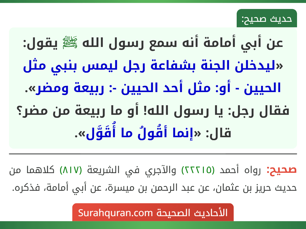 عن أبي أمامة أنه سمع رسول الله ﷺ يقول: «ليدخلن الجنة بشفاعة رجل ليمس بنبي مثل الحيين - أو: مثل أحد الحيين -: ربيعة ومضر». فقال رجل: يا رسول الله! أو ما ربيعة من مضر؟ قال: «إنما أقُولُ ما أُقَوَّل».