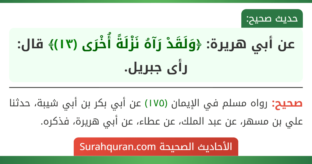 عن أبي هريرة: ﴿وَلَقَدْ رَآهُ نَزْلَةً أُخْرَى (١٣)﴾ قال: رأى جبريل.
