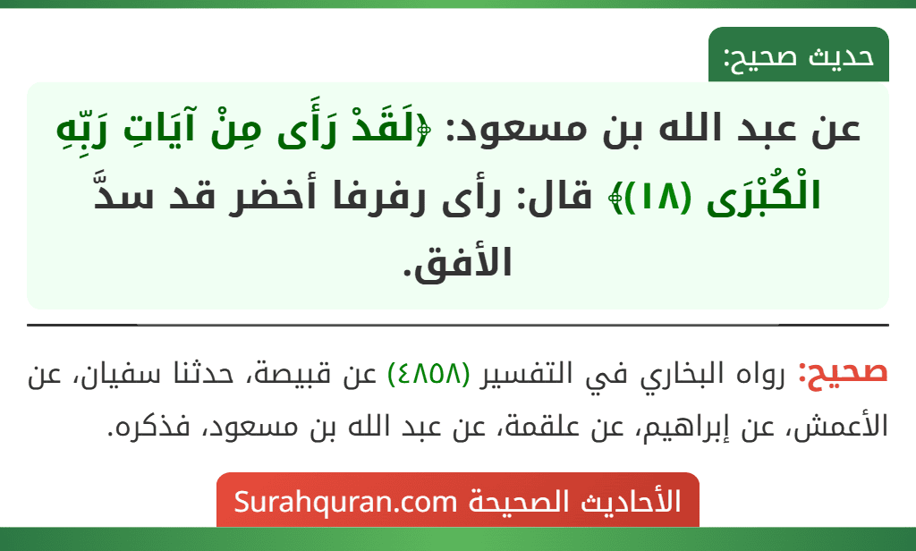 عن عبد الله بن مسعود: ﴿لَقَدْ رَأَى مِنْ آيَاتِ رَبِّهِ الْكُبْرَى (١٨)﴾ قال: رأى رفرفا أخضر قد سدَّ الأفق.
