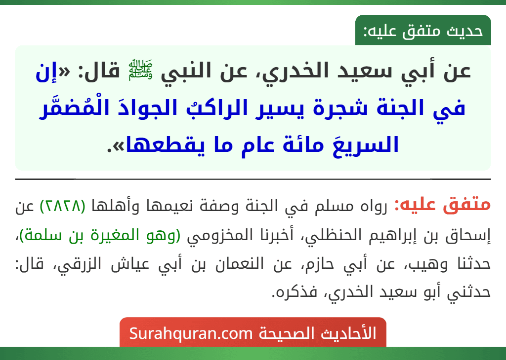 عن أبي سعيد الخدري، عن النبي ﷺ قال: «إن في الجنة شجرة يسير الراكبُ الجوادَ الْمُضمَّر السريعَ مائة عام ما يقطعها».
