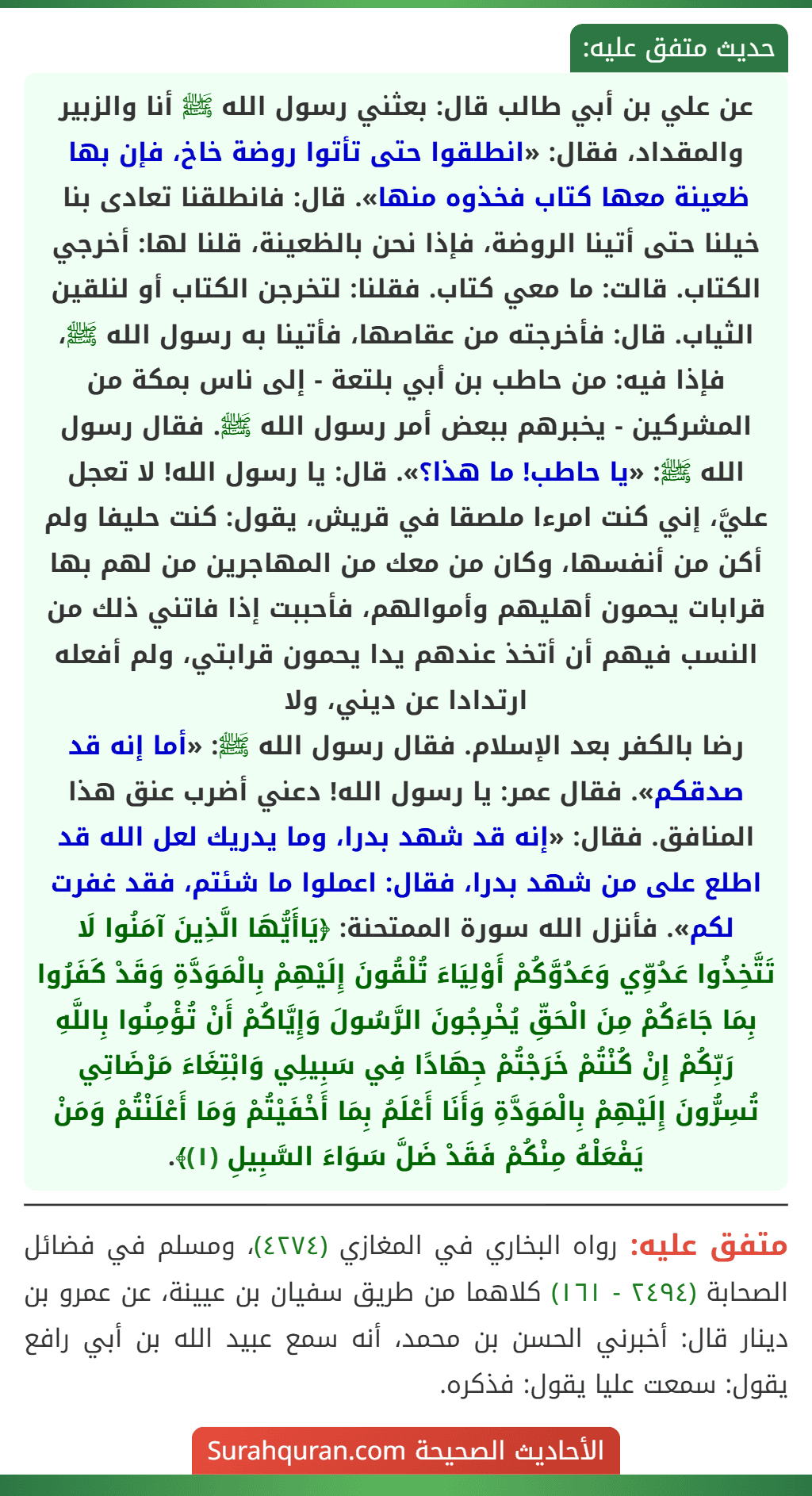 عن علي بن أبي طالب قال: بعثني رسول الله ﷺ أنا والزبير والمقداد، فقال: «انطلقوا حتى تأتوا روضة خاخ، فإن بها ظعينة معها كتاب فخذوه منها». قال: فانطلقنا تعادى بنا خيلنا حتى أتينا الروضة، فإذا نحن بالظعينة، قلنا لها: أخرجي الكتاب. قالت: ما معي كتاب. فقلنا: لتخرجن الكتاب أو لنلقين الثياب. قال: فأخرجته من عقاصها، فأتينا به رسول الله ﷺ، فإذا فيه: من حاطب بن أبي بلتعة - إلى ناس بمكة من المشركين - يخبرهم ببعض أمر رسول الله ﷺ. فقال رسول الله ﷺ: «يا حاطب! ما هذا؟». قال: يا رسول الله! لا تعجل عليَّ، إني كنت امرءا ملصقا في قريش، يقول: كنت حليفا ولم أكن من أنفسها، وكان من معك من المهاجرين من لهم بها قرابات يحمون أهليهم وأموالهم، فأحببت إذا فاتني ذلك من النسب فيهم أن أتخذ عندهم يدا يحمون قرابتي، ولم أفعله ارتدادا عن ديني، ولا
رضا بالكفر بعد الإسلام. فقال رسول الله ﷺ: «أما إنه قد صدقكم». فقال عمر: يا رسول الله! دعني أضرب عنق هذا المنافق. فقال: «إنه قد شهد بدرا، وما يدريك لعل الله قد اطلع على من شهد بدرا، فقال: اعملوا ما شئتم، فقد غفرت لكم». فأنزل الله سورة الممتحنة: ﴿يَاأَيُّهَا الَّذِينَ آمَنُوا لَا تَتَّخِذُوا عَدُوِّي وَعَدُوَّكُمْ أَوْلِيَاءَ تُلْقُونَ إِلَيْهِمْ بِالْمَوَدَّةِ وَقَدْ كَفَرُوا بِمَا جَاءَكُمْ مِنَ الْحَقِّ يُخْرِجُونَ الرَّسُولَ وَإِيَّاكُمْ أَنْ تُؤْمِنُوا بِاللَّهِ رَبِّكُمْ إِنْ كُنْتُمْ خَرَجْتُمْ جِهَادًا فِي سَبِيلِي وَابْتِغَاءَ مَرْضَاتِي تُسِرُّونَ إِلَيْهِمْ بِالْمَوَدَّةِ وَأَنَا أَعْلَمُ بِمَا أَخْفَيْتُمْ وَمَا أَعْلَنْتُمْ وَمَنْ يَفْعَلْهُ مِنْكُمْ فَقَدْ ضَلَّ سَوَاءَ السَّبِيلِ (١)﴾. عن علي بن أبي طالب قال: بعثني رسول الله ﷺ أنا والزبير والمقداد، فقال: «انطلقوا حتى تأتوا روضة خاخ، فإن بها ظعينة معها كتاب فخذوه منها». قال: فانطلقنا تعادى بنا خيلنا حتى أتينا الروضة، فإذا نحن بالظعينة، قلنا لها: أخرجي الكتاب. قالت: ما معي كتاب. فقلنا: لتخرجن الكتاب أو لنلقين الثياب. قال: فأخرجته من عقاصها، فأتينا به رسول الله ﷺ، فإذا فيه: من حاطب بن أبي بلتعة - إلى ناس بمكة من المشركين - يخبرهم ببعض أمر رسول الله ﷺ. فقال رسول الله ﷺ: «يا حاطب! ما هذا؟». قال: يا رسول الله! لا تعجل عليَّ، إني كنت امرءا ملصقا في قريش، يقول: كنت حليفا ولم أكن من أنفسها، وكان من معك من المهاجرين من لهم بها قرابات يحمون أهليهم وأموالهم، فأحببت إذا فاتني ذلك من النسب فيهم أن أتخذ عندهم يدا يحمون قرابتي، ولم أفعله ارتدادا عن ديني، ولا
رضا بالكفر بعد الإسلام. فقال رسول الله ﷺ: «أما إنه قد صدقكم». فقال عمر: يا رسول الله! دعني أضرب عنق هذا المنافق. فقال: «إنه قد شهد بدرا، وما يدريك لعل الله قد اطلع على من شهد بدرا، فقال: اعملوا ما شئتم، فقد غفرت لكم». فأنزل الله سورة الممتحنة: ﴿يَاأَيُّهَا الَّذِينَ آمَنُوا لَا تَتَّخِذُوا عَدُوِّي وَعَدُوَّكُمْ أَوْلِيَاءَ تُلْقُونَ إِلَيْهِمْ بِالْمَوَدَّةِ وَقَدْ كَفَرُوا بِمَا جَاءَكُمْ مِنَ الْحَقِّ يُخْرِجُونَ الرَّسُولَ وَإِيَّاكُمْ أَنْ تُؤْمِنُوا بِاللَّهِ رَبِّكُمْ إِنْ كُنْتُمْ خَرَجْتُمْ جِهَادًا فِي سَبِيلِي وَابْتِغَاءَ مَرْضَاتِي تُسِرُّونَ إِلَيْهِمْ بِالْمَوَدَّةِ وَأَنَا أَعْلَمُ بِمَا أَخْفَيْتُمْ وَمَا أَعْلَنْتُمْ وَمَنْ يَفْعَلْهُ مِنْكُمْ فَقَدْ ضَلَّ سَوَاءَ السَّبِيلِ (١)﴾.