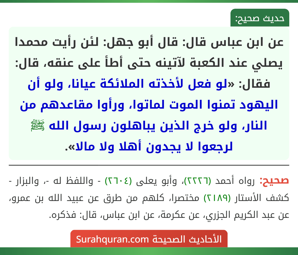 عن ابن عباس قال: قال أبو جهل: لئن رأيت محمدا يصلي عند الكعبة لآتينه حتى أطأ على عنقه، قال: فقال: «لو فعل لأخذته الملائكة عيانا، ولو أن اليهود تمنوا الموت لماتوا، ورأوا مقاعدهم من النار، ولو خرج الذين يباهلون رسول الله ﷺ لرجعوا لا يجدون أهلا ولا مالا».