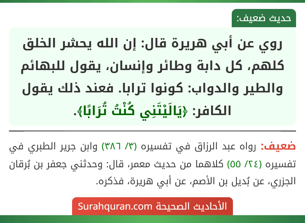 روي عن أبي هريرة قال: إن الله يحشر الخلق كلهم، كل دابة وطائر وإنسان، يقول للبهائم والطير والدواب: كونوا ترابا. فعند ذلك يقول الكافر: ﴿يَالَيْتَنِي كُنْتُ تُرَابًا﴾. روي عن أبي هريرة قال: إن الله يحشر الخلق كلهم، كل دابة وطائر وإنسان، يقول للبهائم والطير والدواب: كونوا ترابا. فعند ذلك يقول الكافر: ﴿يَالَيْتَنِي كُنْتُ تُرَابًا﴾.