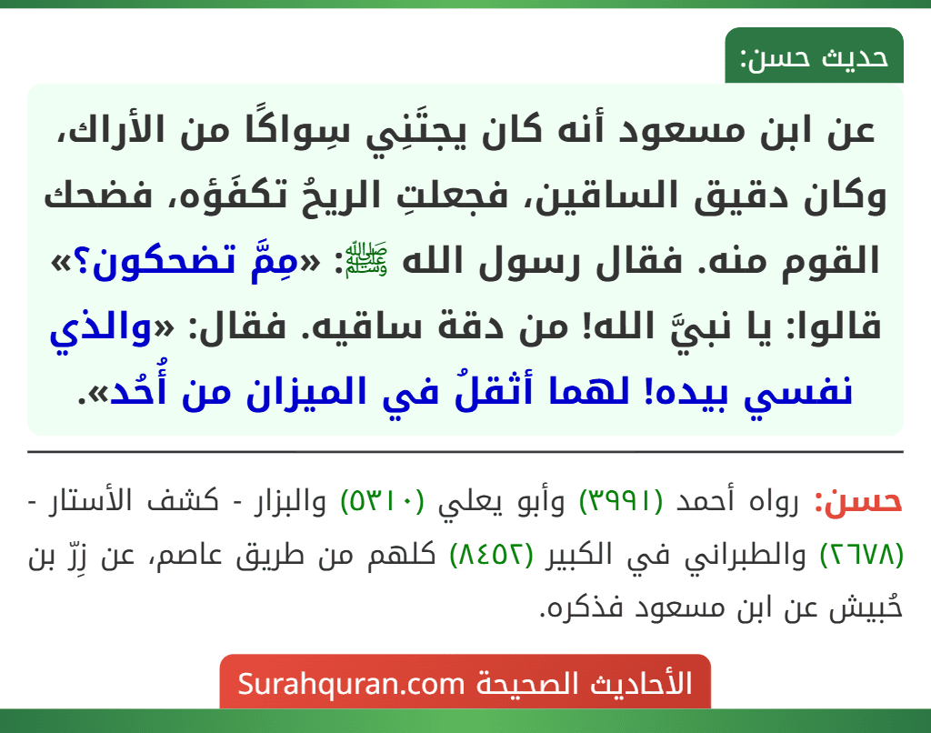 عن ابن مسعود أنه كان يجتَنِي سِواكًا من الأراك، وكان دقيق الساقين، فجعلتِ الريحُ تكفَؤه، فضحك القوم منه. فقال رسول الله ﷺ: «مِمَّ تضحكون؟» قالوا: يا نبيَّ الله! من دقة ساقيه. فقال: «والذي نفسي بيده! لهما أثقلُ في الميزان من أُحُد».
