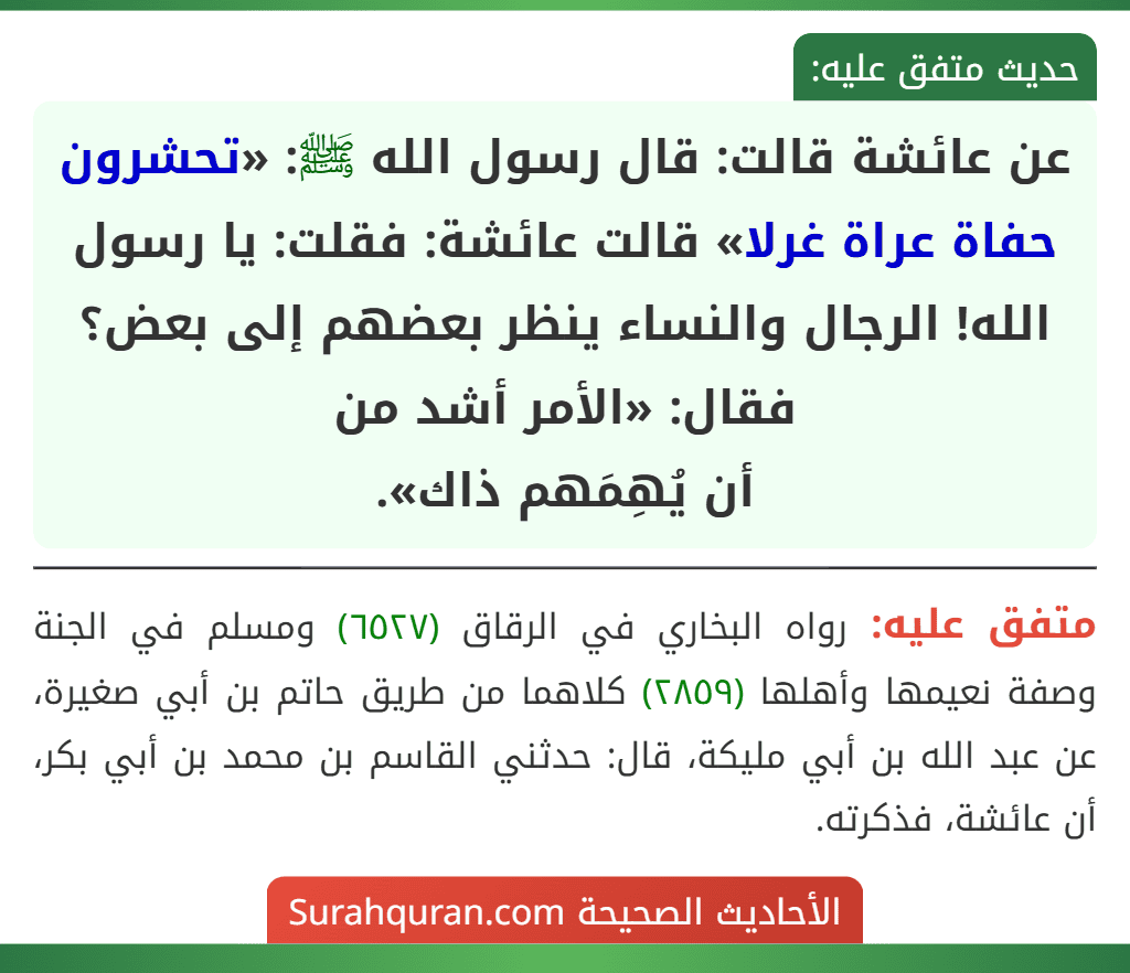 عن عائشة قالت: قال رسول الله ﷺ: «تحشرون حفاة عراة غرلا» قالت عائشة: فقلت: يا رسول الله! الرجال والنساء ينظر بعضهم إلى بعض؟ فقال: «الأمر أشد من
أن يُهِمَهم ذاك». عن عائشة قالت: قال رسول الله ﷺ: «تحشرون حفاة عراة غرلا» قالت عائشة: فقلت: يا رسول الله! الرجال والنساء ينظر بعضهم إلى بعض؟ فقال: «الأمر أشد من
أن يُهِمَهم ذاك».