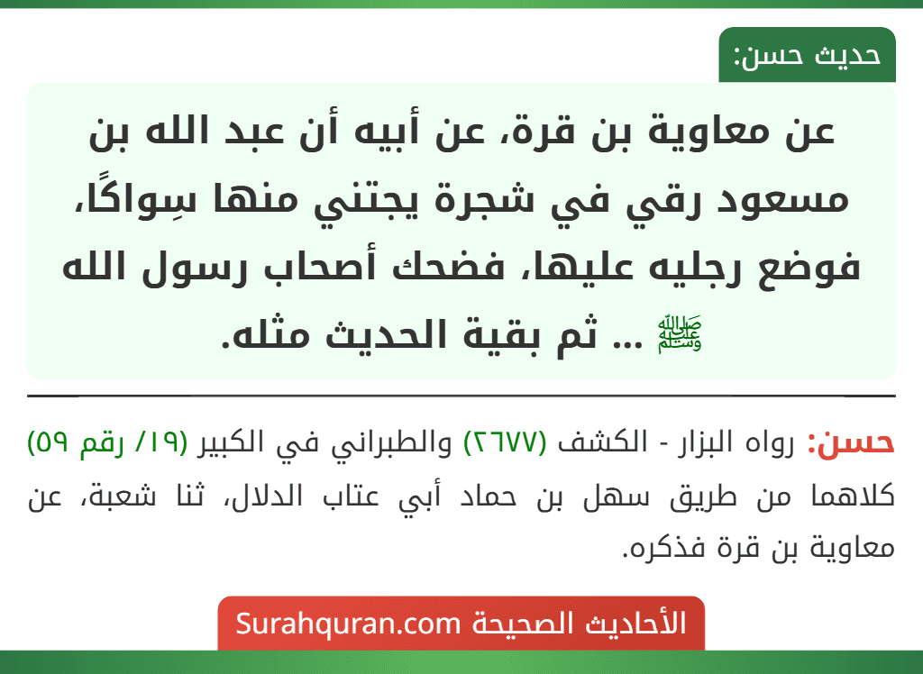 عن معاوية بن قرة، عن أبيه أن عبد الله بن مسعود رقي في شجرة يجتني منها سِواكًا، فوضع رجليه عليها، فضحك أصحاب رسول الله ﷺ ... ثم بقية الحديث مثله.