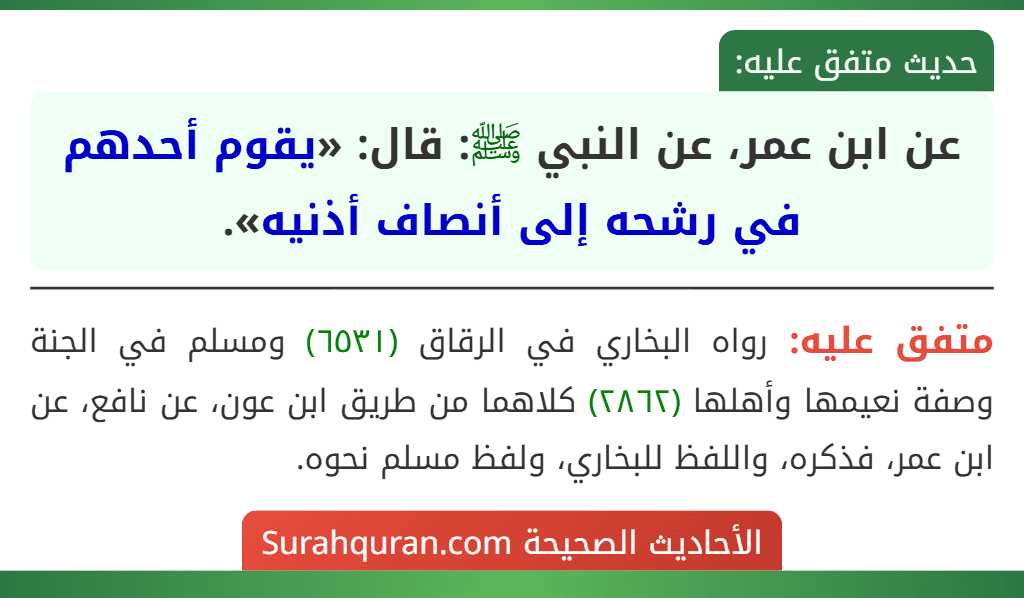عن ابن عمر، عن النبي ﷺ: قال: «يقوم أحدهم في رشحه إلى أنصاف أذنيه».