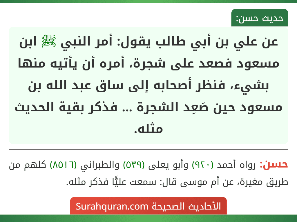 عن علي بن أبي طالب يقول: أمر النبي ﷺ ابن مسعود فصعد على شجرة، أمره أن يأتيه منها بشيء، فنظر أصحابه إلى ساق عبد الله بن مسعود حين صَعِد الشجرة ... فذكر بقية الحديث مثله.