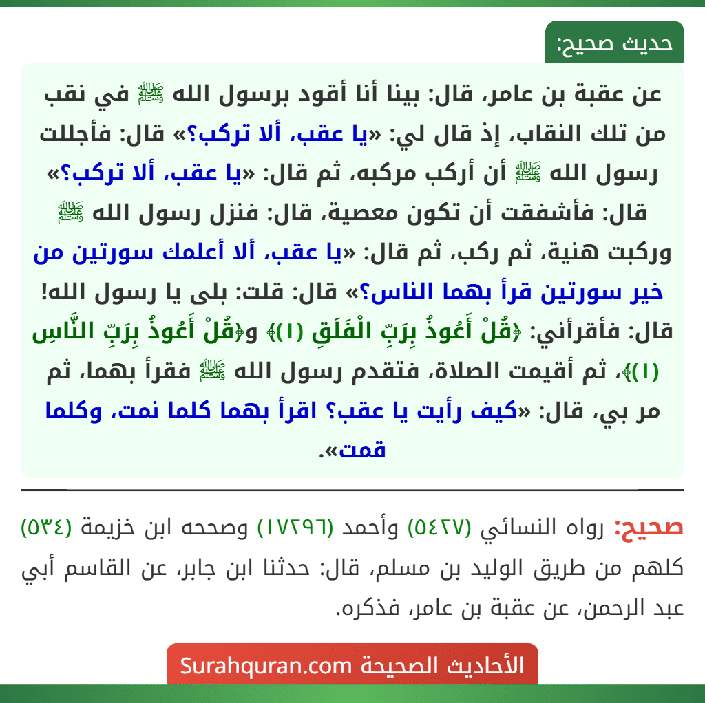 عن عقبة بن عامر، قال: بينا أنا أقود برسول الله ﷺ في نقب من تلك النقاب، إذ قال لي: «يا عقب، ألا تركب؟» قال: فأجللت رسول الله ﷺ أن أركب مركبه، ثم قال: «يا عقب، ألا تركب؟» قال: فأشفقت أن تكون معصية، قال: فنزل رسول الله ﷺ وركبت هنية، ثم ركب، ثم قال: «يا عقب، ألا أعلمك سورتين من خير سورتين قرأ بهما الناس؟» قال: قلت: بلى يا رسول الله! قال: فأقرأني: ﴿قُلْ أَعُوذُ بِرَبِّ الْفَلَقِ (١)﴾ و﴿قُلْ أَعُوذُ بِرَبِّ النَّاسِ (١)﴾، ثم أقيمت الصلاة، فتقدم رسول الله ﷺ فقرأ بهما، ثم مر بي، قال: «كيف رأيت يا عقب؟ اقرأ بهما كلما نمت، وكلما قمت». عن عقبة بن عامر، قال: بينا أنا أقود برسول الله ﷺ في نقب من تلك النقاب، إذ قال لي: «يا عقب، ألا تركب؟» قال: فأجللت رسول الله ﷺ أن أركب مركبه، ثم قال: «يا عقب، ألا تركب؟» قال: فأشفقت أن تكون معصية، قال: فنزل رسول الله ﷺ وركبت هنية، ثم ركب، ثم قال: «يا عقب، ألا أعلمك سورتين من خير سورتين قرأ بهما الناس؟» قال: قلت: بلى يا رسول الله! قال: فأقرأني: ﴿قُلْ أَعُوذُ بِرَبِّ الْفَلَقِ (١)﴾ و﴿قُلْ أَعُوذُ بِرَبِّ النَّاسِ (١)﴾، ثم أقيمت الصلاة، فتقدم رسول الله ﷺ فقرأ بهما، ثم مر بي، قال: «كيف رأيت يا عقب؟ اقرأ بهما كلما نمت، وكلما قمت».