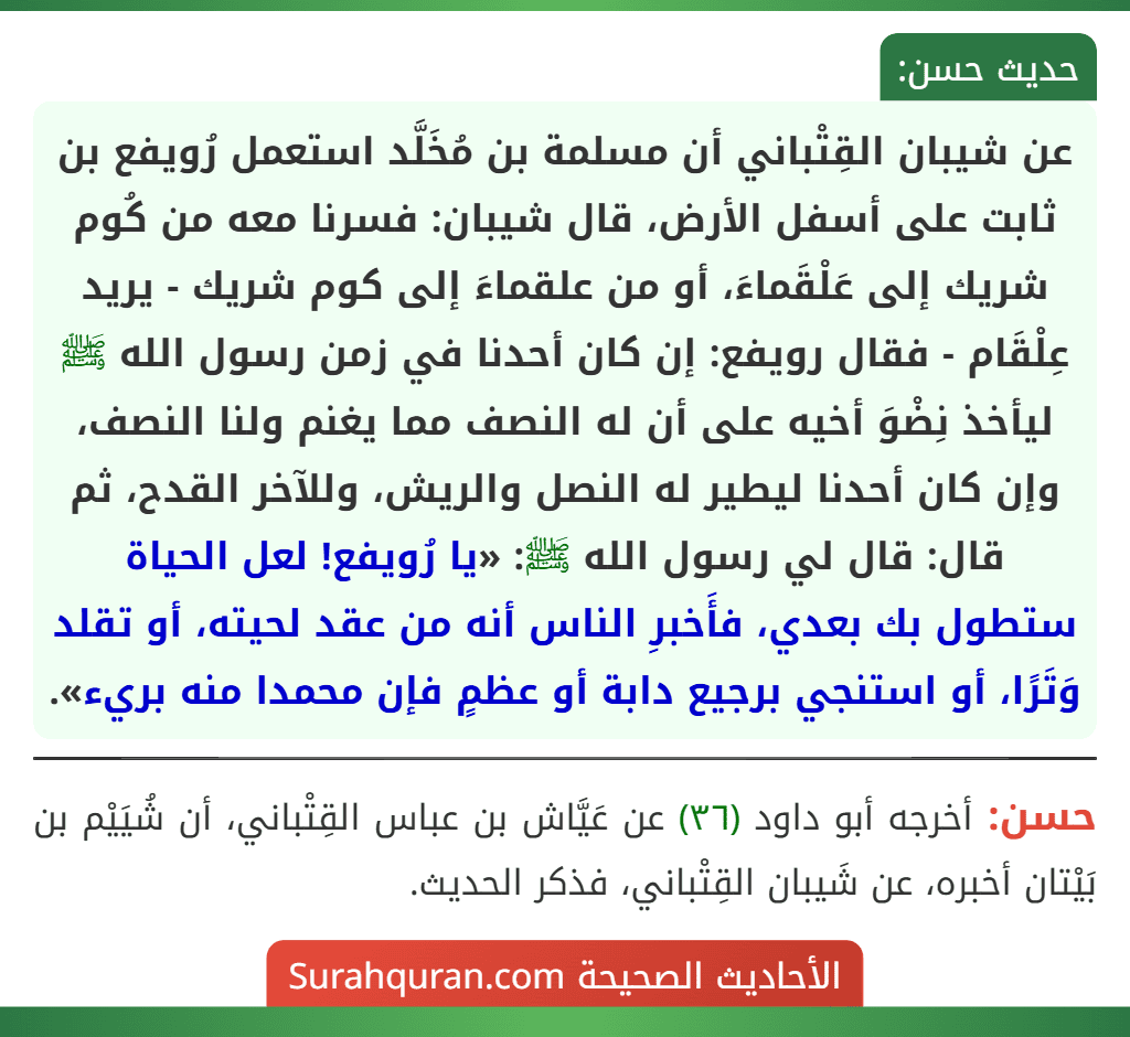 عن شيبان القِتْباني أن مسلمة بن مُخَلَّد استعمل رُويفع بن ثابت على أسفل الأرض، قال شيبان: فسرنا معه من كُوم شريك إلى عَلْقَماءَ، أو من علقماءَ إلى كوم شريك - يريد عِلْقَام - فقال رويفع: إن كان أحدنا في زمن رسول الله ﷺ ليأخذ نِضْوَ أخيه على أن له النصف مما يغنم ولنا النصف، وإن كان أحدنا ليطير له النصل والريش، وللآخر القدح، ثم قال: قال لي رسول الله ﷺ: «يا رُويفع! لعل الحياة ستطول بك بعدي، فأَخبرِ الناس أنه من عقد لحيته، أو تقلد وَتَرًا، أو استنجي برجيع دابة أو عظمٍ فإن محمدا منه بريء».
