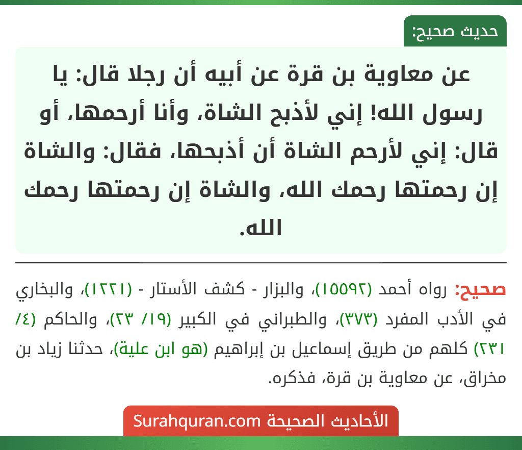 عن معاوية بن قرة عن أبيه أن رجلا قال: يا رسول الله! إني لأذبح الشاة، وأنا أرحمها، أو قال: إني لأرحم الشاة أن أذبحها، فقال: والشاة إن رحمتها رحمك الله، والشاة إن رحمتها رحمك الله.