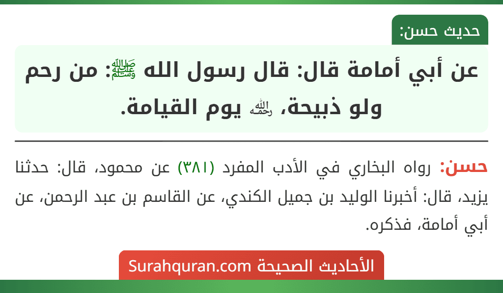 عن أبي أمامة قال: قال رسول الله ﷺ: من رحم ولو ذبيحة، ﵀ يوم القيامة.