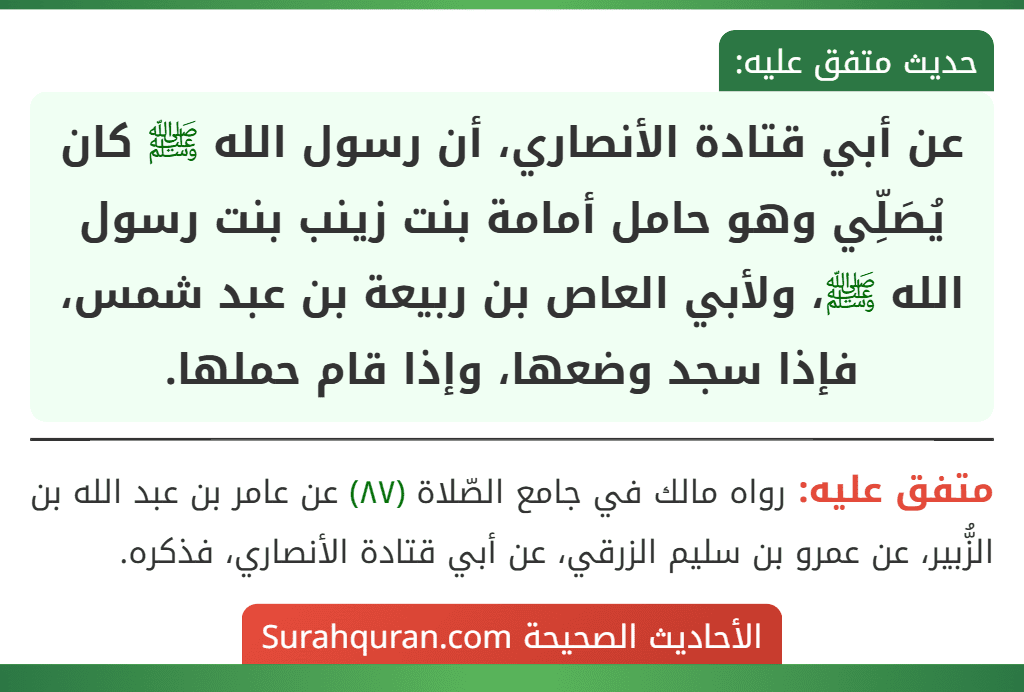 عن أبي قتادة الأنصاري، أن رسول الله ﷺ كان يُصَلِّي وهو حامل أمامة بنت زينب بنت رسول الله ﷺ، ولأبي العاص بن ربيعة بن عبد شمس، فإذا سجد وضعها، وإذا قام حملها.