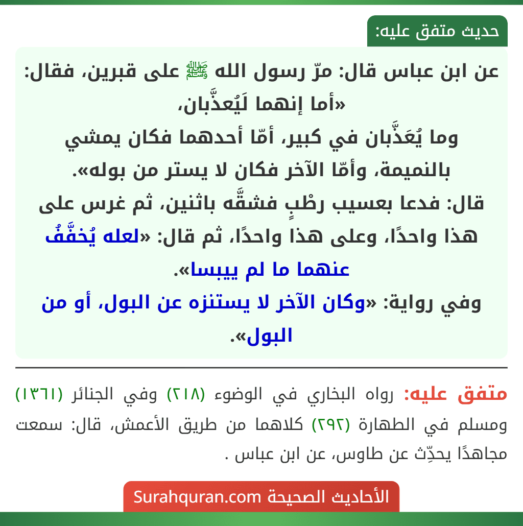 عن ابن عباس قال: مرّ رسول الله ﷺ على قبرين، فقال: «أما إنهما لَيُعذَّبان،
وما يُعَذَّبان في كبير، أمّا أحدهما فكان يمشي بالنميمة، وأمّا الآخر فكان لا يستر من بوله».
قال: فدعا بعسيب رطْبٍ فشقَّه باثنين، ثم غرس على هذا واحدًا، وعلى هذا واحدًا، ثم قال: «لعله يُخفَّفُ عنهما ما لم ييبسا».
وفي رواية: «وكان الآخر لا يستنزه عن البول، أو من البول». عن ابن عباس قال: مرّ رسول الله ﷺ على قبرين، فقال: «أما إنهما لَيُعذَّبان،
وما يُعَذَّبان في كبير، أمّا أحدهما فكان يمشي بالنميمة، وأمّا الآخر فكان لا يستر من بوله».
قال: فدعا بعسيب رطْبٍ فشقَّه باثنين، ثم غرس على هذا واحدًا، وعلى هذا واحدًا، ثم قال: «لعله يُخفَّفُ عنهما ما لم ييبسا».
وفي رواية: «وكان الآخر لا يستنزه عن البول، أو من البول».
