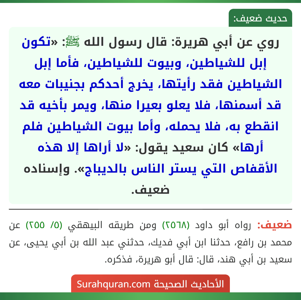 روي عن أبي هريرة: قال رسول الله ﷺ: «تكون إبل للشياطين، وبيوت للشياطين، فأما إبل الشياطين فقد رأيتها، يخرج أحدكم بجنيبات معه قد أسمنها، فلا يعلو بعيرا منها، ويمر بأخيه قد انقطع به، فلا يحمله، وأما بيوت الشياطين فلم أرها» كان سعيد يقول: «لا أراها إلا هذه الأقفاص التي يستر الناس بالديباج». وإسناده ضعيف.