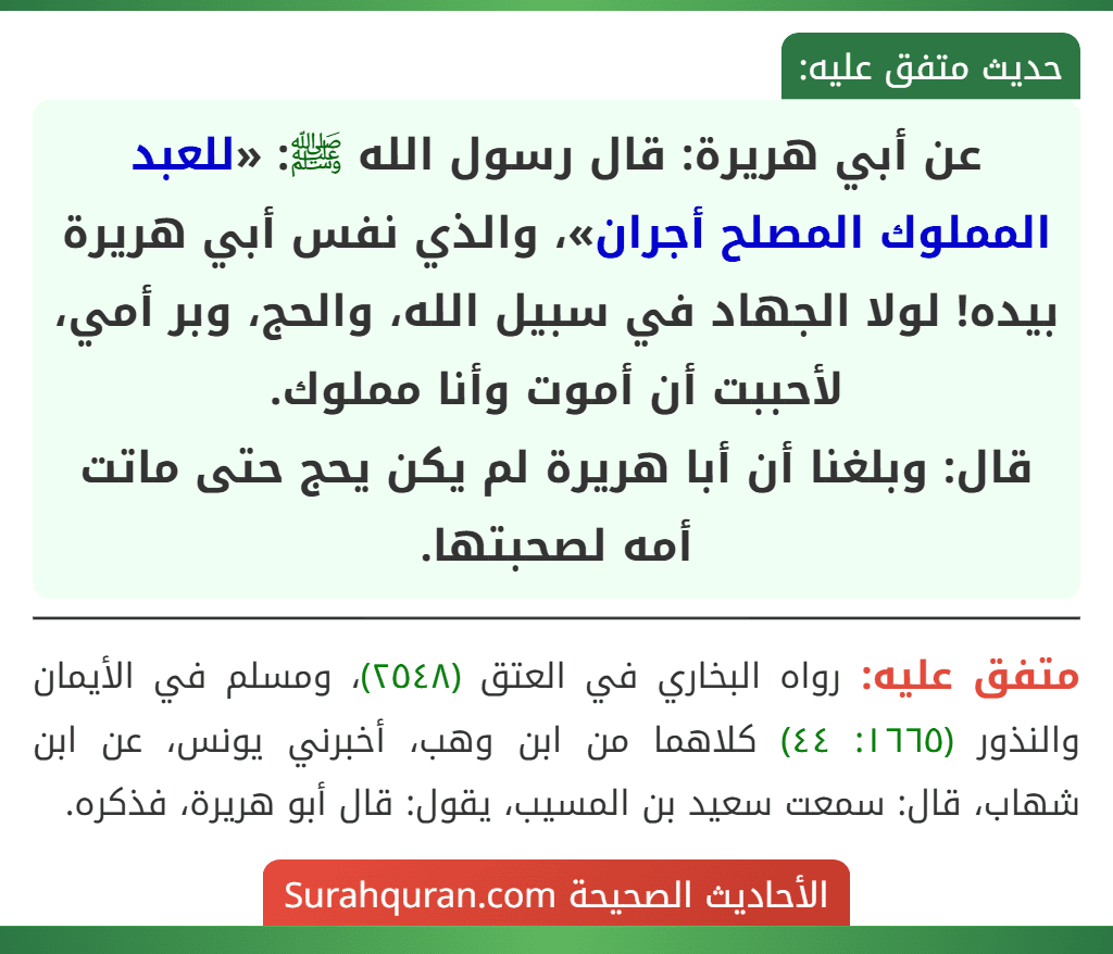 عن أبي هريرة: قال رسول الله ﷺ: «للعبد المملوك المصلح أجران»، والذي نفس أبي هريرة بيده! لولا الجهاد في سبيل الله، والحج، وبر أمي، لأحببت أن أموت وأنا مملوك.
قال: وبلغنا أن أبا هريرة لم يكن يحج حتى ماتت أمه لصحبتها.