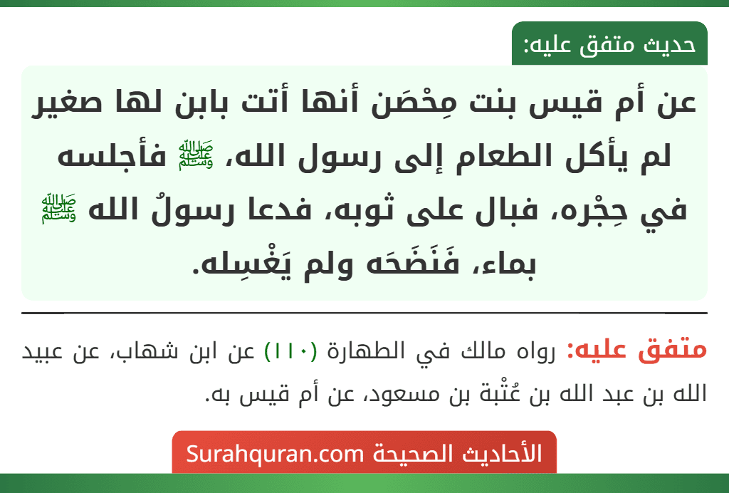 عن أم قيس بنت مِحْصَن أنها أتت بابن لها صغير لم يأكل الطعام إلى رسول الله، ﷺ فأجلسه في حِجْره، فبال على ثوبه، فدعا رسولُ الله ﷺ بماء، فَنَضَحَه ولم يَغْسِله. عن أم قيس بنت مِحْصَن أنها أتت بابن لها صغير لم يأكل الطعام إلى رسول الله، ﷺ فأجلسه في حِجْره، فبال على ثوبه، فدعا رسولُ الله ﷺ بماء، فَنَضَحَه ولم يَغْسِله.