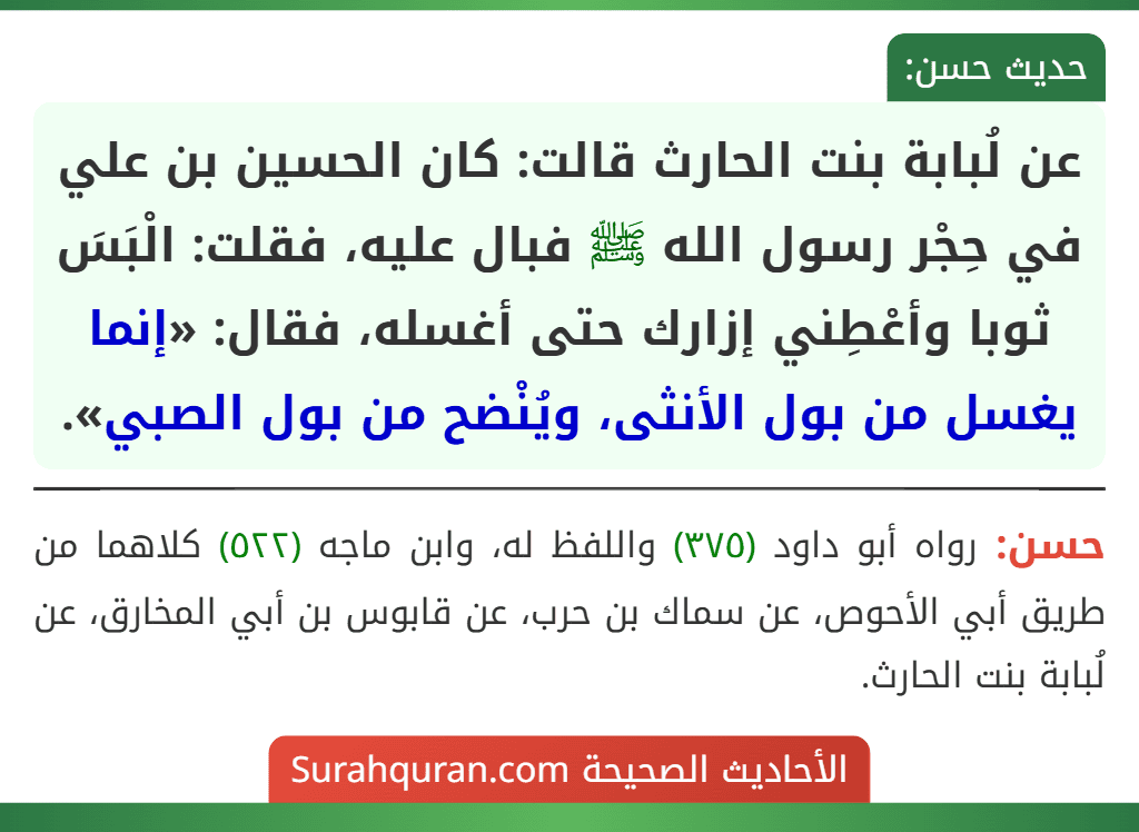 عن لُبابة بنت الحارث قالت: كان الحسين بن علي في حِجْر رسول الله ﷺ فبال عليه، فقلت: الْبَسَ ثوبا وأعْطِني إزارك حتى أغسله، فقال: «إنما يغسل من بول الأنثى، ويُنْضح من بول الصبي».