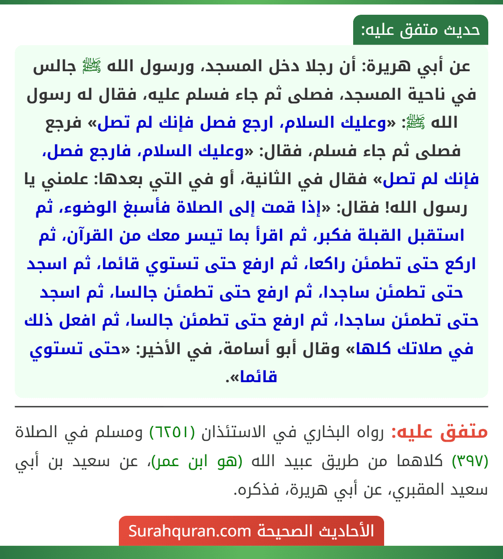 عن أبي هريرة: أن رجلا دخل المسجد، ورسول الله ﷺ جالس في ناحية المسجد، فصلى ثم جاء فسلم عليه، فقال له رسول الله ﷺ: «وعليك السلام، ارجع فصل فإنك لم تصل» فرجع فصلى ثم جاء فسلم، فقال: «وعليك السلام، فارجع فصل، فإنك لم تصل» فقال في الثانية، أو في التي بعدها: علمني يا رسول الله! فقال: «إذا قمت إلى الصلاة فأسبغ الوضوء، ثم استقبل القبلة فكبر، ثم اقرأ بما تيسر معك من القرآن، ثم اركع حتى تطمئن راكعا، ثم ارفع حتى تستوي قائما، ثم اسجد حتى تطمئن ساجدا، ثم ارفع حتى تطمئن جالسا، ثم اسجد حتى تطمئن ساجدا، ثم ارفع حتى تطمئن جالسا، ثم افعل ذلك في صلاتك كلها» وقال أبو أسامة، في الأخير: «حتى تستوي قائما».