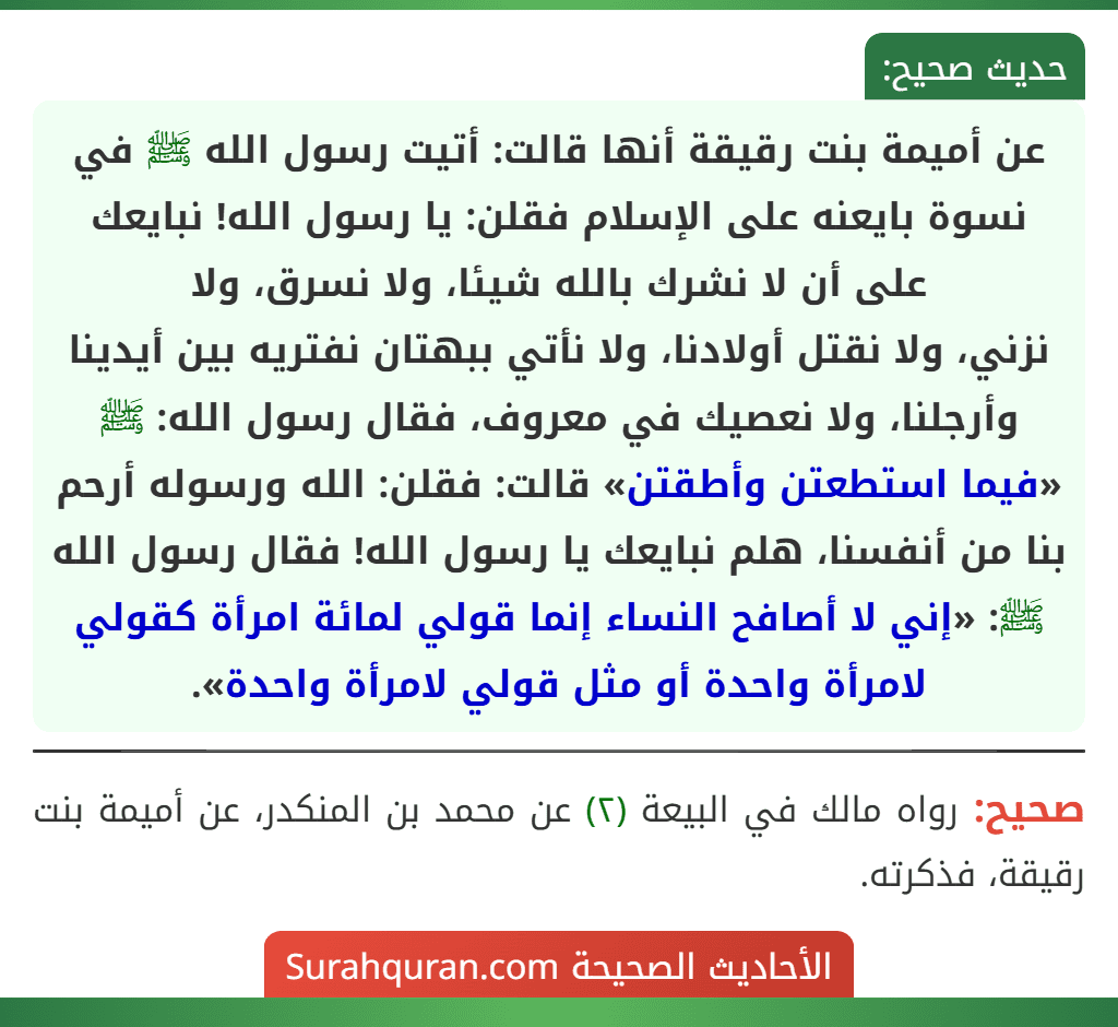 عن أميمة بنت رقيقة أنها قالت: أتيت رسول الله ﷺ في نسوة بايعنه على الإسلام فقلن: يا رسول الله! نبايعك على أن لا نشرك بالله شيئا، ولا نسرق، ولا
نزني، ولا نقتل أولادنا، ولا نأتي ببهتان نفتريه بين أيدينا وأرجلنا، ولا نعصيك في معروف، فقال رسول الله: ﷺ «فيما استطعتن وأطقتن» قالت: فقلن: الله ورسوله أرحم بنا من أنفسنا، هلم نبايعك يا رسول الله! فقال رسول الله ﷺ: «إني لا أصافح النساء إنما قولي لمائة امرأة كقولي لامرأة واحدة أو مثل قولي لامرأة واحدة».