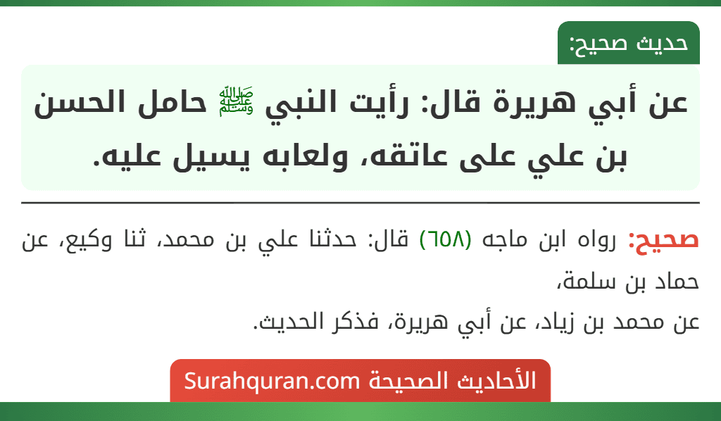 عن أبي هريرة قال: «رأيت النبي ﷺ حامل الحسن بن علي على عاتقه، ولعابه يسيل عليه». عن أبي هريرة قال: «رأيت النبي ﷺ حامل الحسن بن علي على عاتقه، ولعابه يسيل عليه».