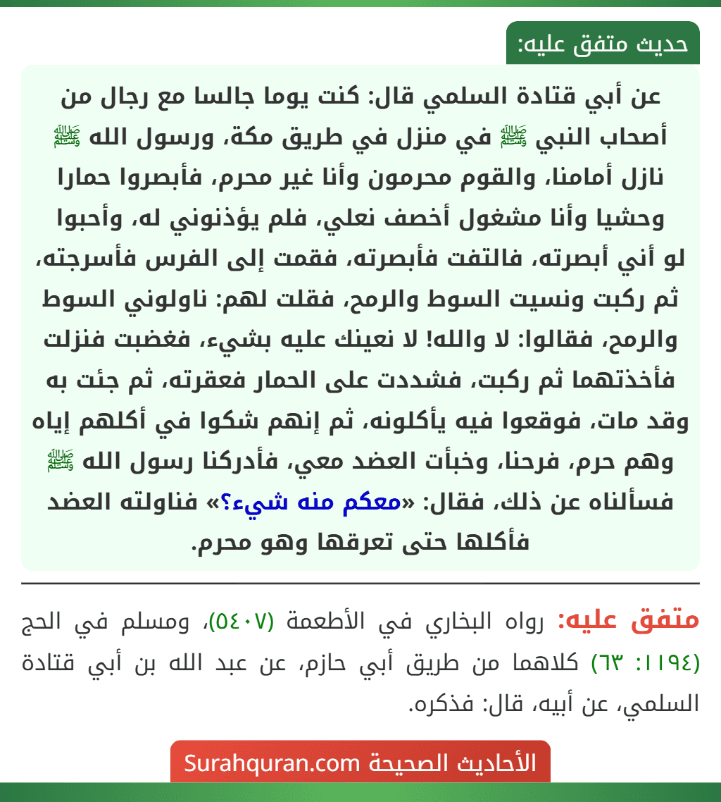 عن أبي قتادة السلمي قال: كنت يوما جالسا مع رجال من أصحاب النبي ﷺ في منزل في طريق مكة، ورسول الله ﷺ نازل أمامنا، والقوم محرمون وأنا غير محرم، فأبصروا حمارا وحشيا وأنا مشغول أخصف نعلي، فلم يؤذنوني له، وأحبوا
لو أني أبصرته، فالتفت فأبصرته، فقمت إلى الفرس فأسرجته، ثم ركبت ونسيت السوط والرمح، فقلت لهم: ناولوني السوط والرمح، فقالوا: لا والله! لا نعينك عليه بشيء، فغضبت فنزلت فأخذتهما ثم ركبت، فشددت على الحمار فعقرته، ثم جئت به وقد مات، فوقعوا فيه يأكلونه، ثم إنهم شكوا في أكلهم إياه وهم حرم، فرحنا، وخبأت العضد معي، فأدركنا رسول الله ﷺ فسألناه عن ذلك، فقال: «معكم منه شيء؟» فناولته العضد فأكلها حتى تعرقها وهو محرم.