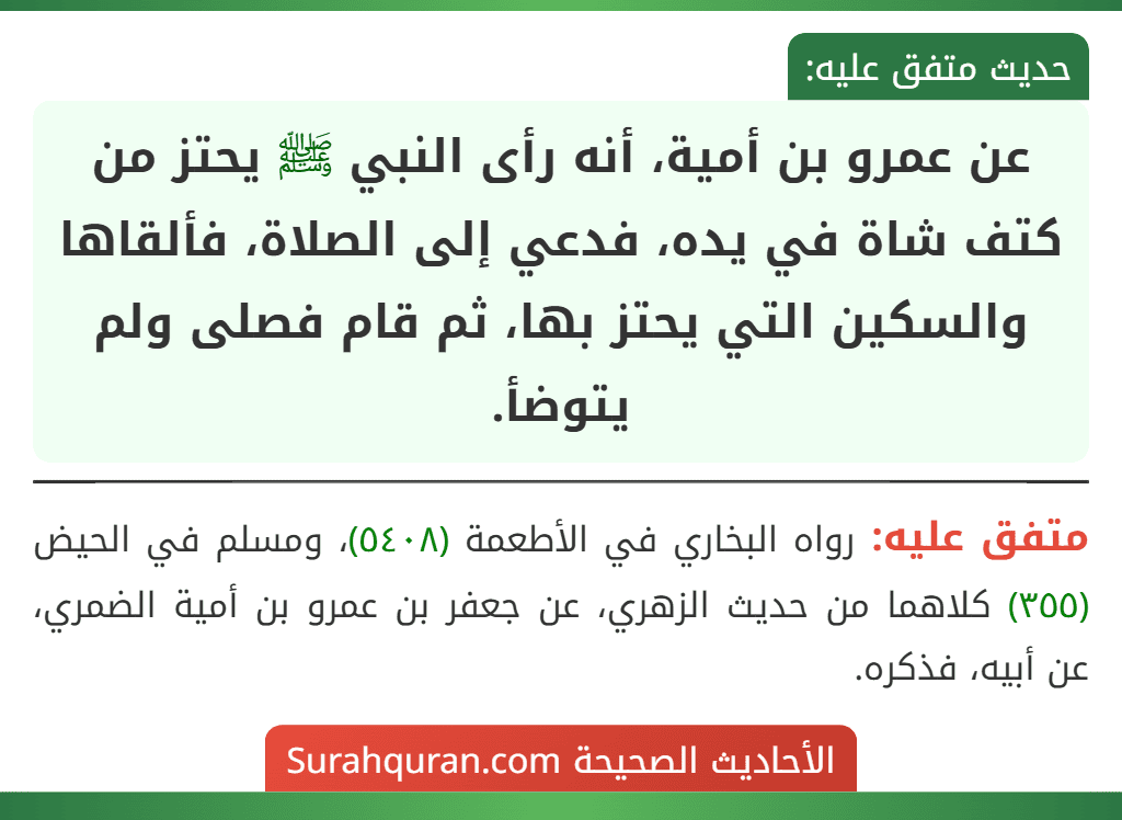 عن عمرو بن أمية، أنه رأى النبي ﷺ يحتز من كتف شاة في يده، فدعي إلى الصلاة، فألقاها والسكين التي يحتز بها، ثم قام فصلى ولم يتوضأ.
