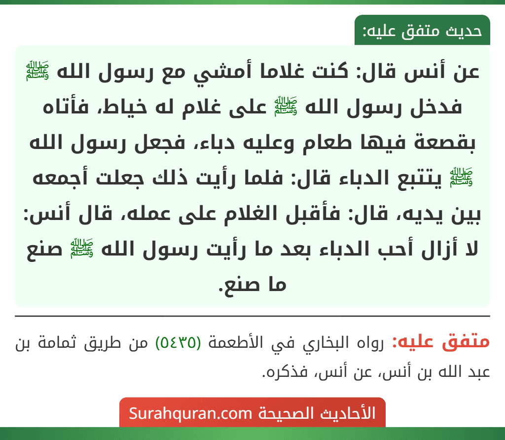 عن أنس قال: كنت غلاما أمشي مع رسول الله ﷺ فدخل رسول الله ﷺ على غلام له خياط، فأتاه بقصعة فيها طعام وعليه دباء، فجعل رسول الله ﷺ يتتبع الدباء قال: فلما رأيت ذلك جعلت أجمعه بين يديه، قال: فأقبل الغلام على عمله، قال أنس: لا أزال أحب الدباء بعد ما رأيت رسول الله ﷺ صنع ما صنع.